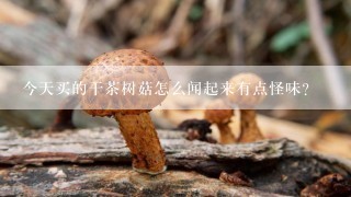 今天买的干茶树菇怎么闻起来有点怪味？