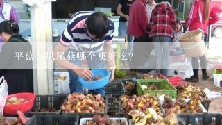 平菇与凤尾菇哪个更好吃？