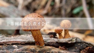 干茶树菇怎么煮才会烂