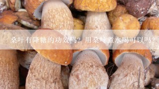 桑叶有降糖的功效吗？用桑叶煮水喝可以吗？