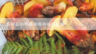 茶树菇和鸡枞菌哪种炖鸡好喝