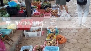 野生菌菇种类有哪些？