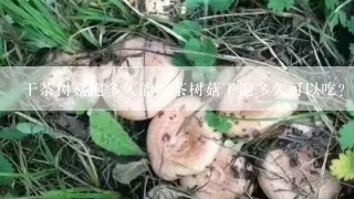 干茶树菇泡多久能吃茶树菇干泡多久可以吃？