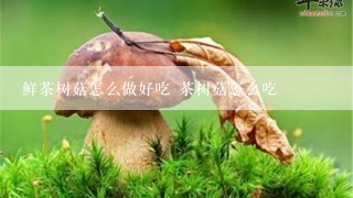 鲜茶树菇怎么做好吃 茶树菇怎么吃