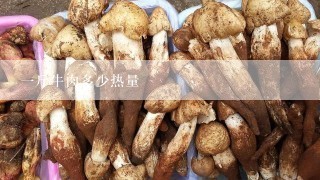 一斤牛肉多少热量