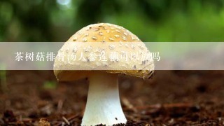 茶树菇排骨汤人参莲藕可以放吗