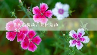 茶树菇煲汤，茶树菇汤