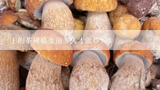 干的茶树菇要泡多久才能炒？