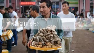 茶树菇怎样煲汤?