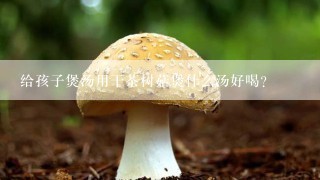 给孩子煲汤用干茶树菇煲什么汤好喝？