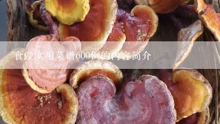 食堂实用菜谱600例的内容简介