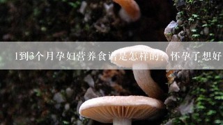 1到3个月孕妇营养食谱是怎样的？怀孕了想好好补补，吃什么对大人跟胎儿都好呀？