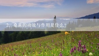 桑黄的功效与作用是什么？