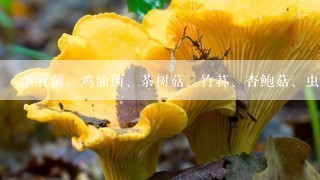 羊肚菌、鸡油菌、茶树菇、竹荪、杏鲍菇、虫草花、鹿茸菇能和西洋渗一起煲汤吗