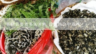 茶树菇要煮多久才熟 没煮熟会中毒吗