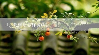 茶树菇怎样煲汤?