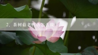 茶树菇老鸭汤怎么做