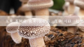 玉米,茶树菇,花菜,金针菇、莲藕,可以一起煲排骨汤吗？