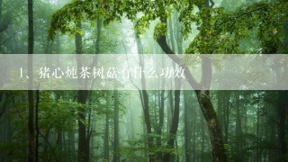 猪心炖茶树菇有什么功效