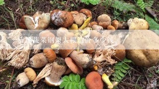 一亩地蔬菜钢架大棚造价多少钱