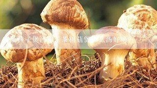 给孩子煲汤用干茶树菇煲什么汤好喝？