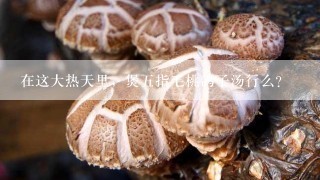 在这大热天里，煲五指毛桃鸽子汤行么?