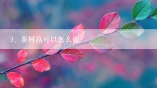 茶树菇可以怎么做