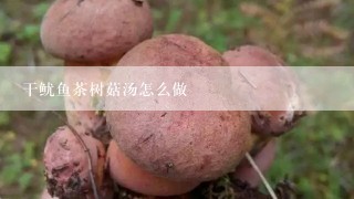 干鱿鱼茶树菇汤怎么做