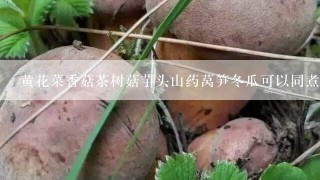 黄花菜香菇茶树菇芋头山药莴笋冬瓜可以同煮吗