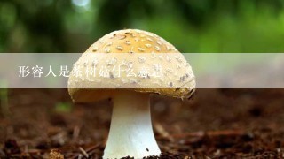 形容人是茶树菇什么意思