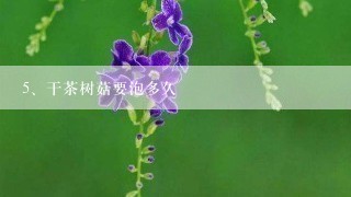 干茶树菇要泡多久