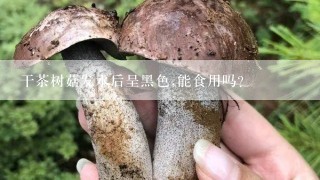 干茶树菇发水后呈黑色,能食用吗?