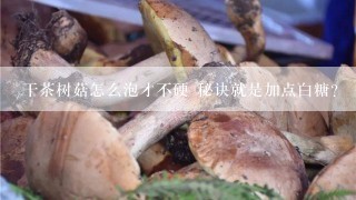 干茶树菇怎么泡才不硬 秘诀就是加点白糖？