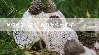 茶树菇怎么保存 储存茶树菇步骤