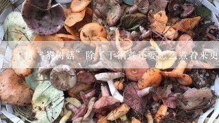 干货“茶树菇”除了干锅煮还要怎么煮着来更好吃？