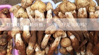 野生铁皮石斛价格，10万一斤是真的吗？