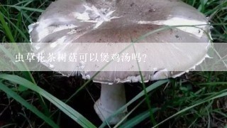 虫草花茶树菇可以煲鸡汤吗?