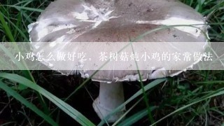 小鸡怎么做好吃，茶树菇炖小鸡的家常做法