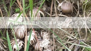 茶树茹含磷吗肾病可吃茶树菇吗？含不含磷