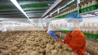 干货“茶树菇”除了干锅煮还要怎么煮着来更好吃？