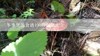 冬季煲汤食谱100种做法大全