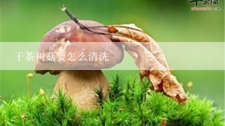 干茶树菇要怎么清洗