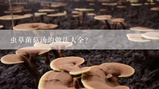 虫草菌菇汤的做法大全？