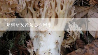 茶树菇发苦是怎么回事