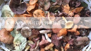 宋朝人吃火锅可以吃到哪种蔬菜？