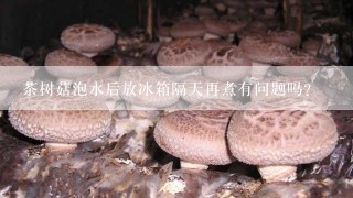 茶树菇泡水后放冰箱隔天再煮有问题吗？