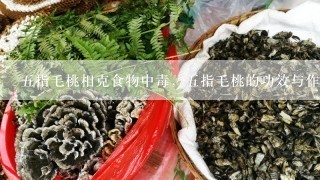 五指毛桃相克食物中毒，五指毛桃的功效与作用都有哪些