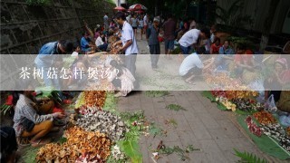 茶树菇怎样煲汤?