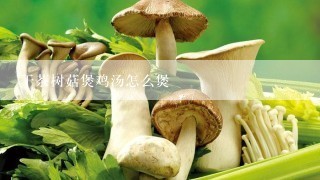 干茶树菇煲鸡汤怎么煲