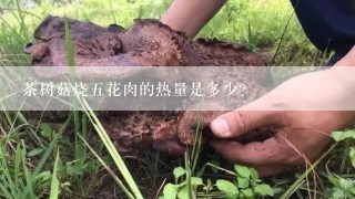 茶树菇烧五花肉的热量是多少？